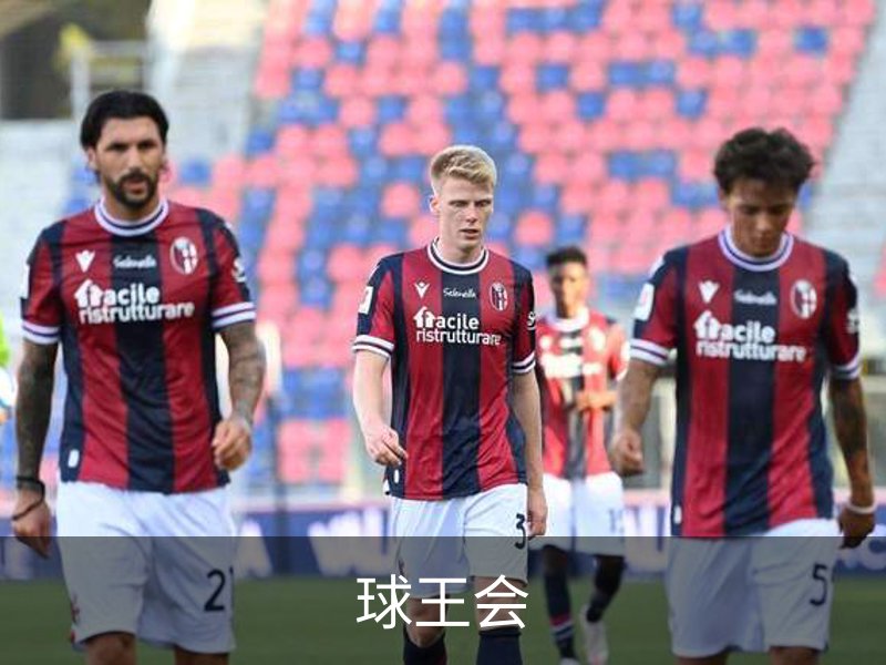 了解球王会